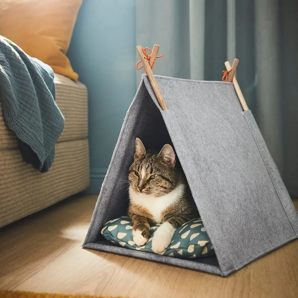 Grey Felt Tent with a Cat Inside