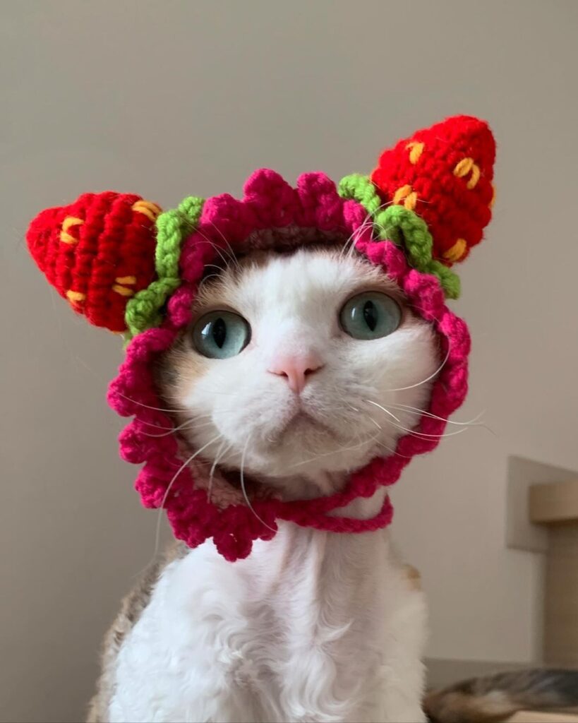 Cute crochet hat with 2 strawberries poking out of both sides