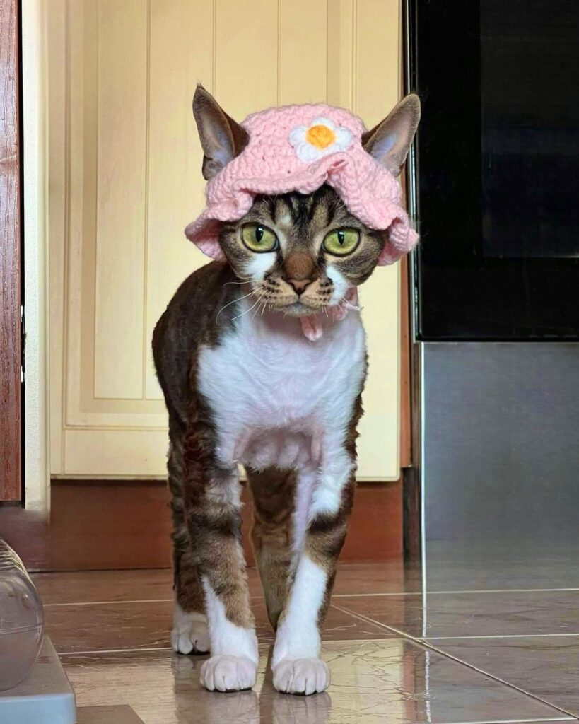 Tiny pink hat with a daisy crocheted to the front