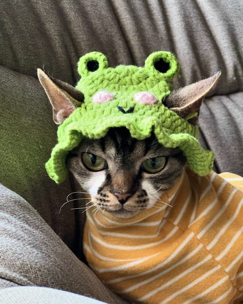 Green crochet hat with frog eyes to the brim
