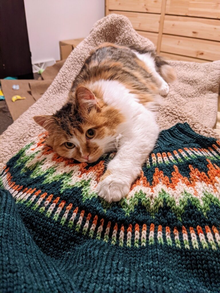 Green, Orange & White Colorwork Cat Blanket