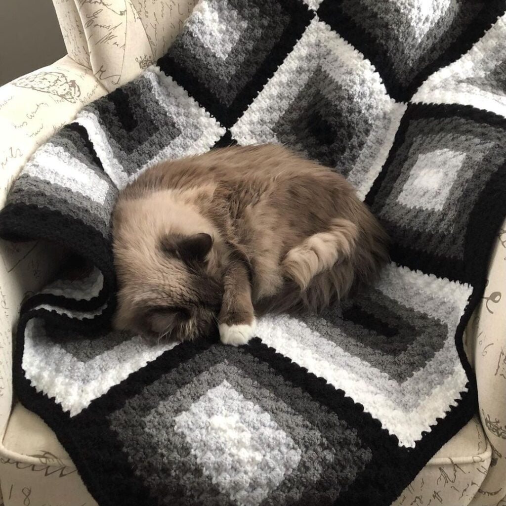 Monochromatic Black & White Chic Cat Blanket