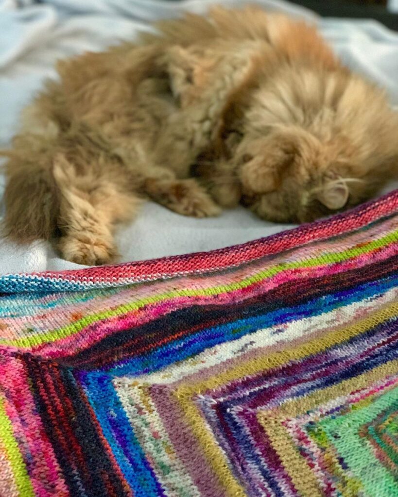 Orange cat sleeping next to a colorful scrappy knitted blanket