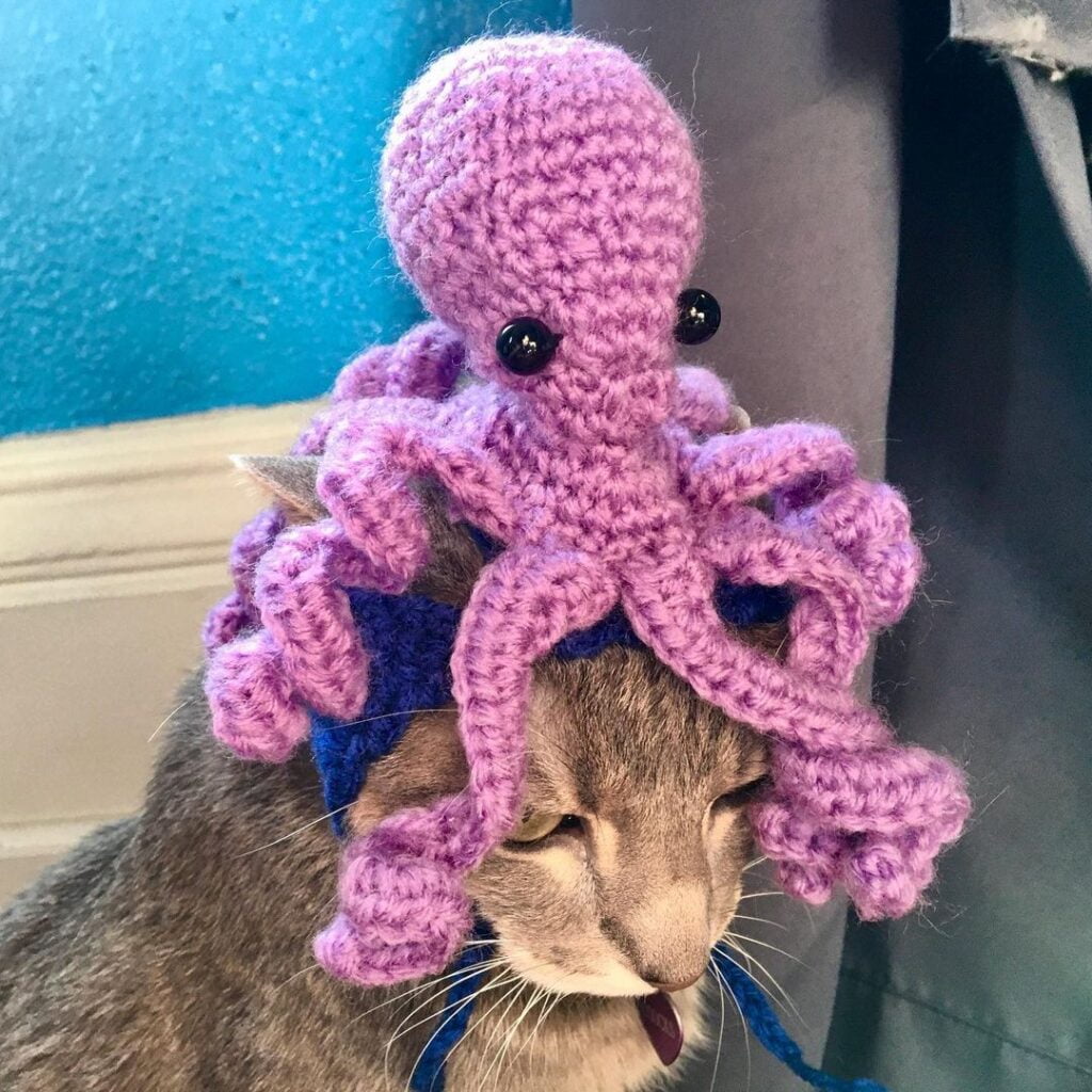 A cute octopus-shaped crochet hat tied on cat's hat