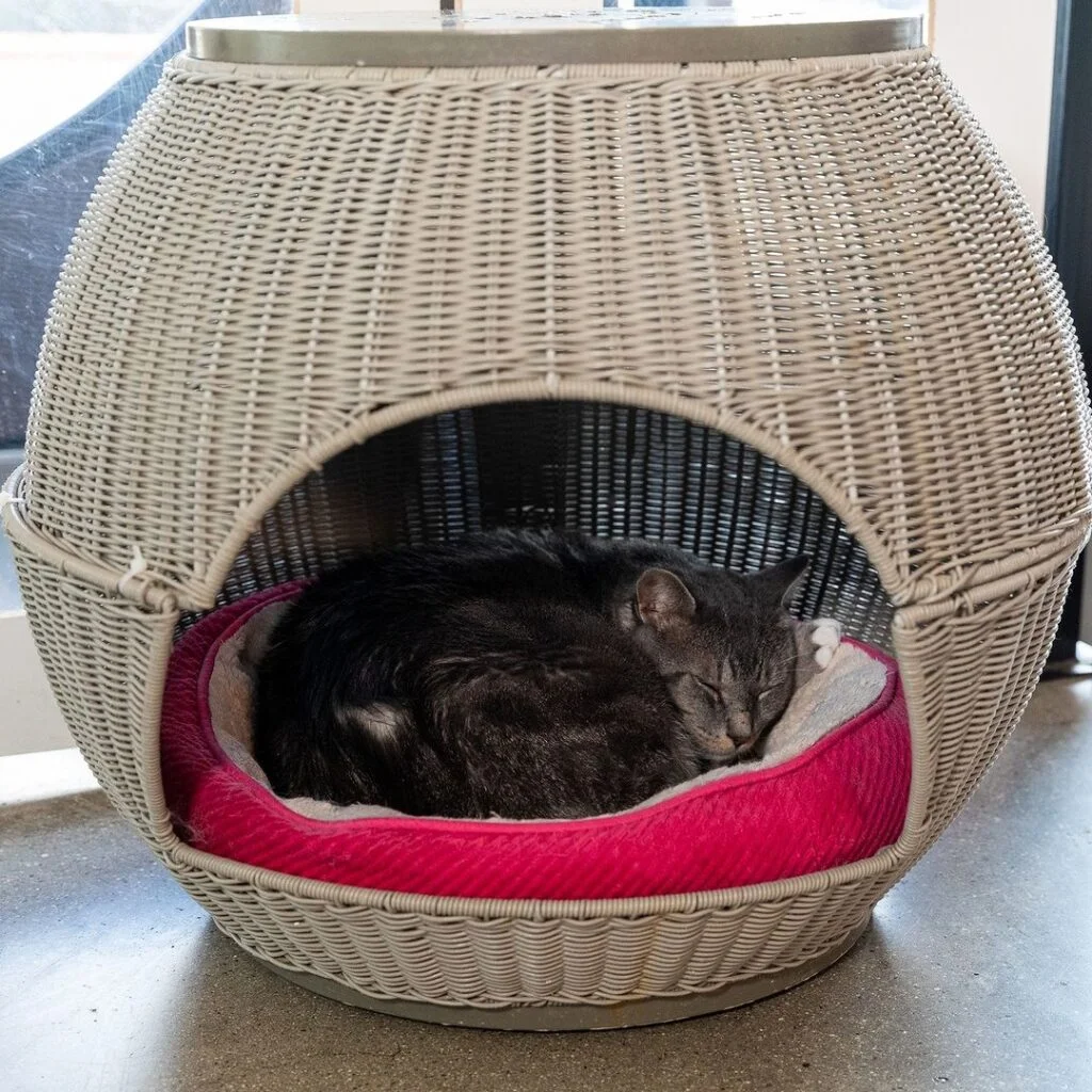 Warm & Breathable Wicker Ball Bed