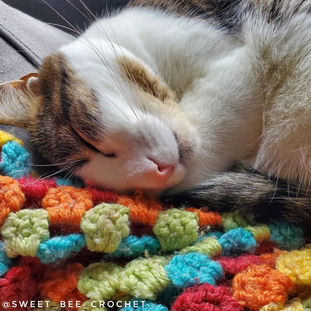 Multi-Colored Textured Crochet Cat Blanket