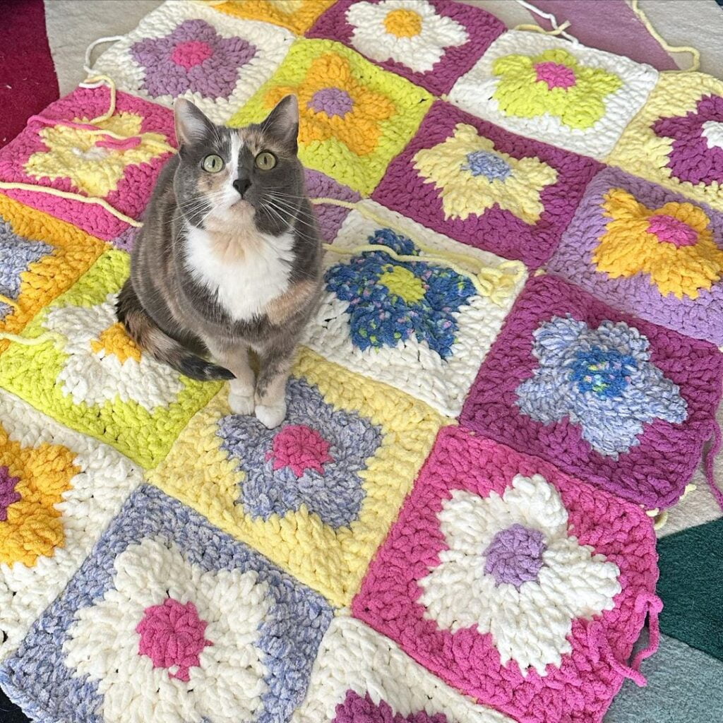 Spring Floral Cat Blanket with Colorful Daisies