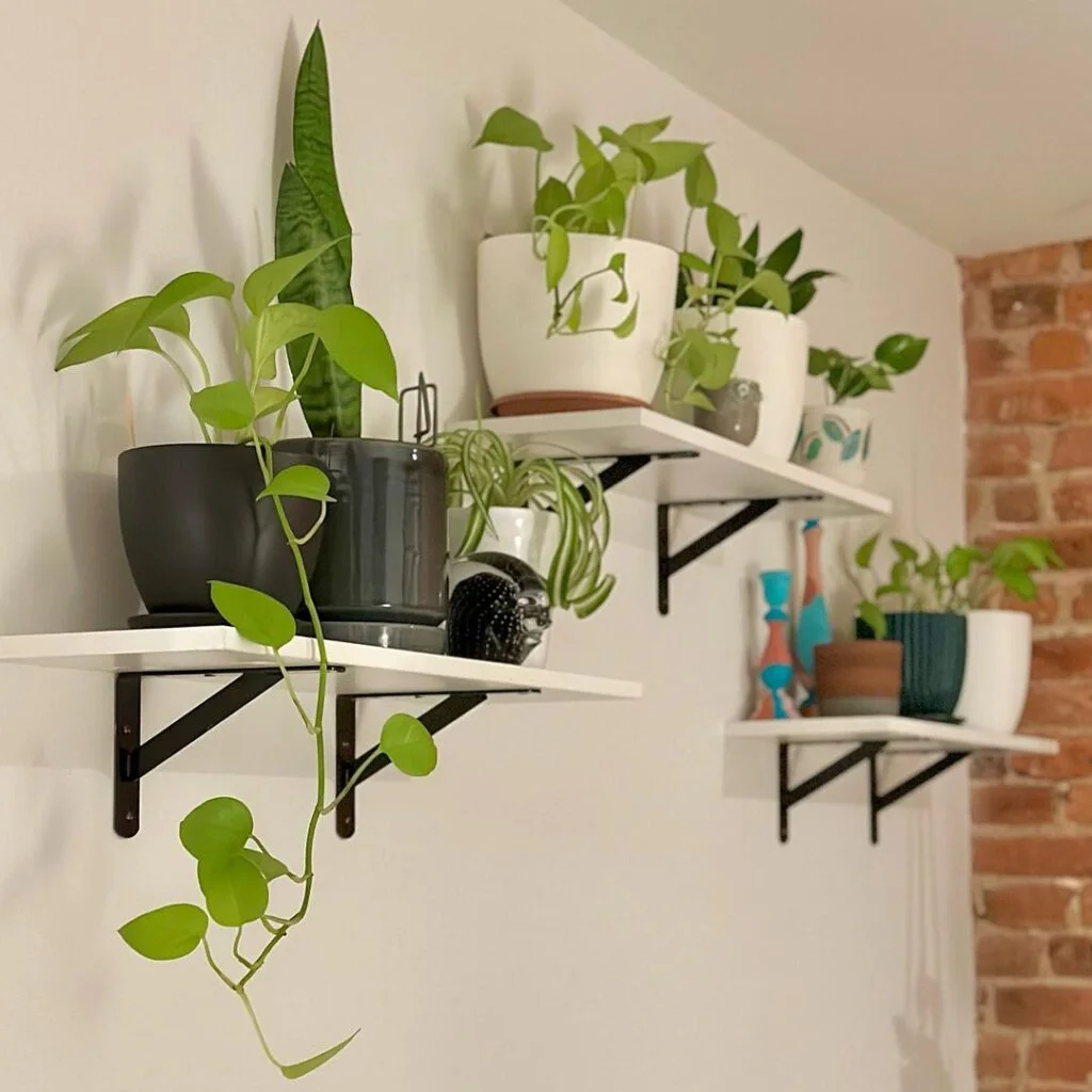 High Free-Floating Shelving Unit for Cats