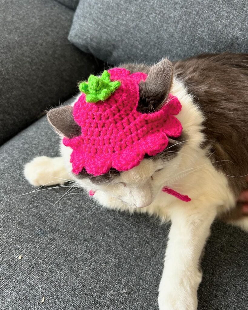 Hot pink crochet hat with a green bud on top