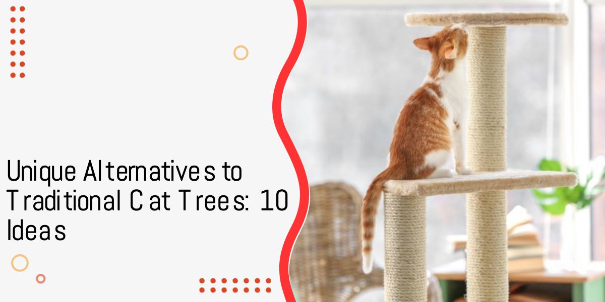 Alternatives to cat trees