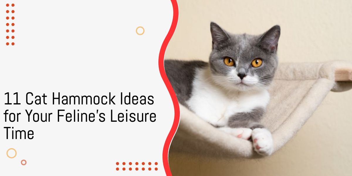 Cat Hammock Ideas