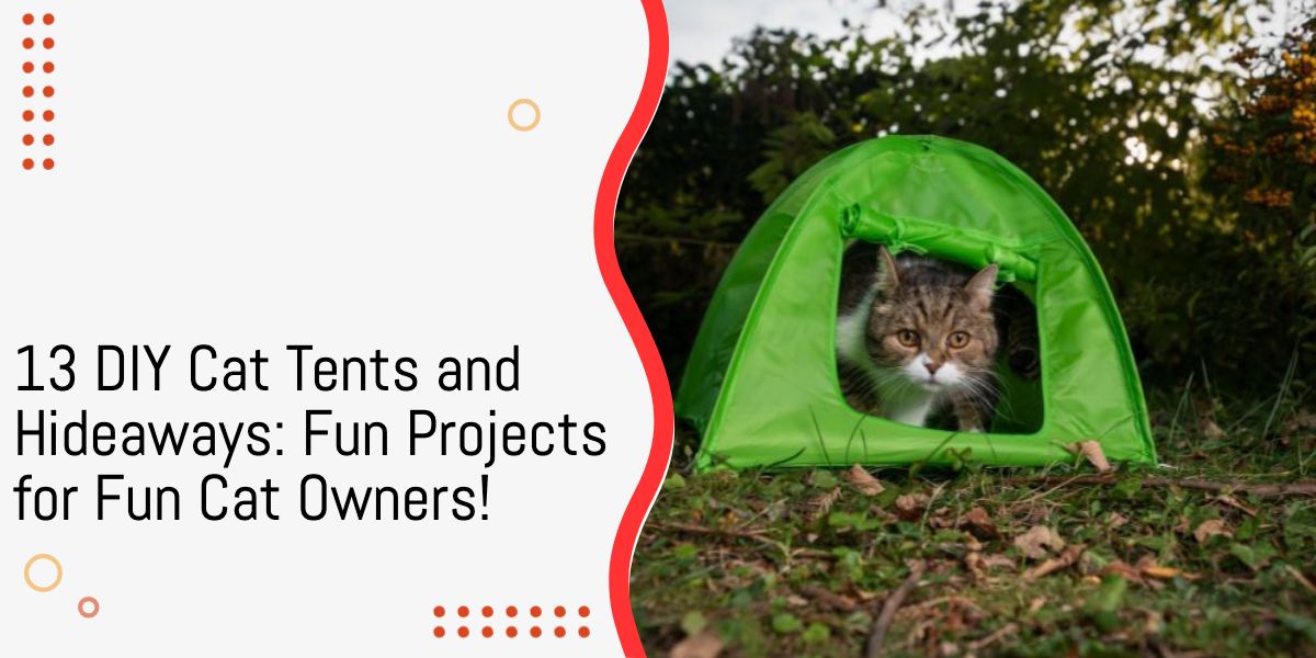 DIY cat tent and hideaway ideas
