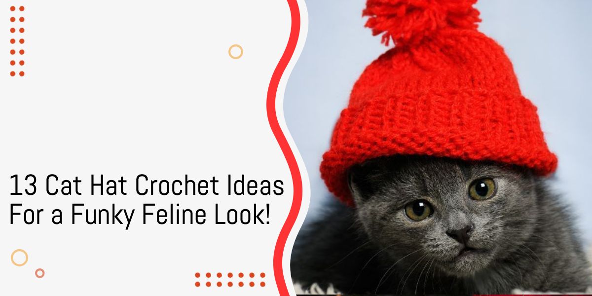 Cat hat crochet