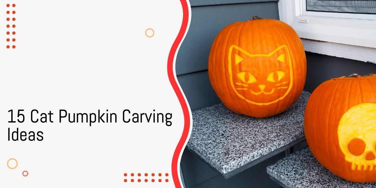 15 Cat Pumpkin Carving Ideas (+ Bonus Big Cat Pic!)